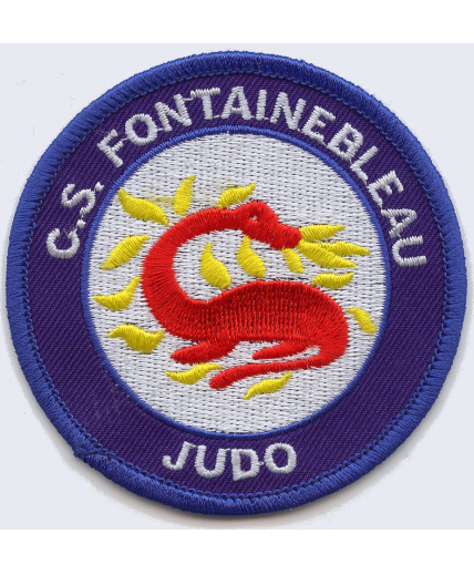 CS FONTAINEBLEAU