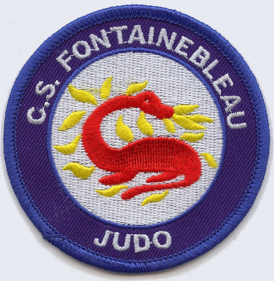 Logo CS FONTAINEBLEAU